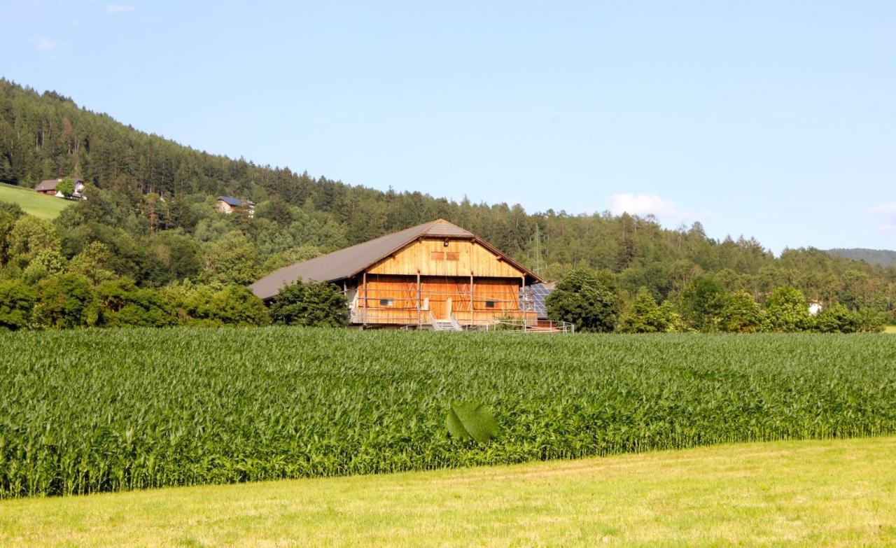 Schoenhuberhof - Panoramalage Daire Brunico Dış mekan fotoğraf