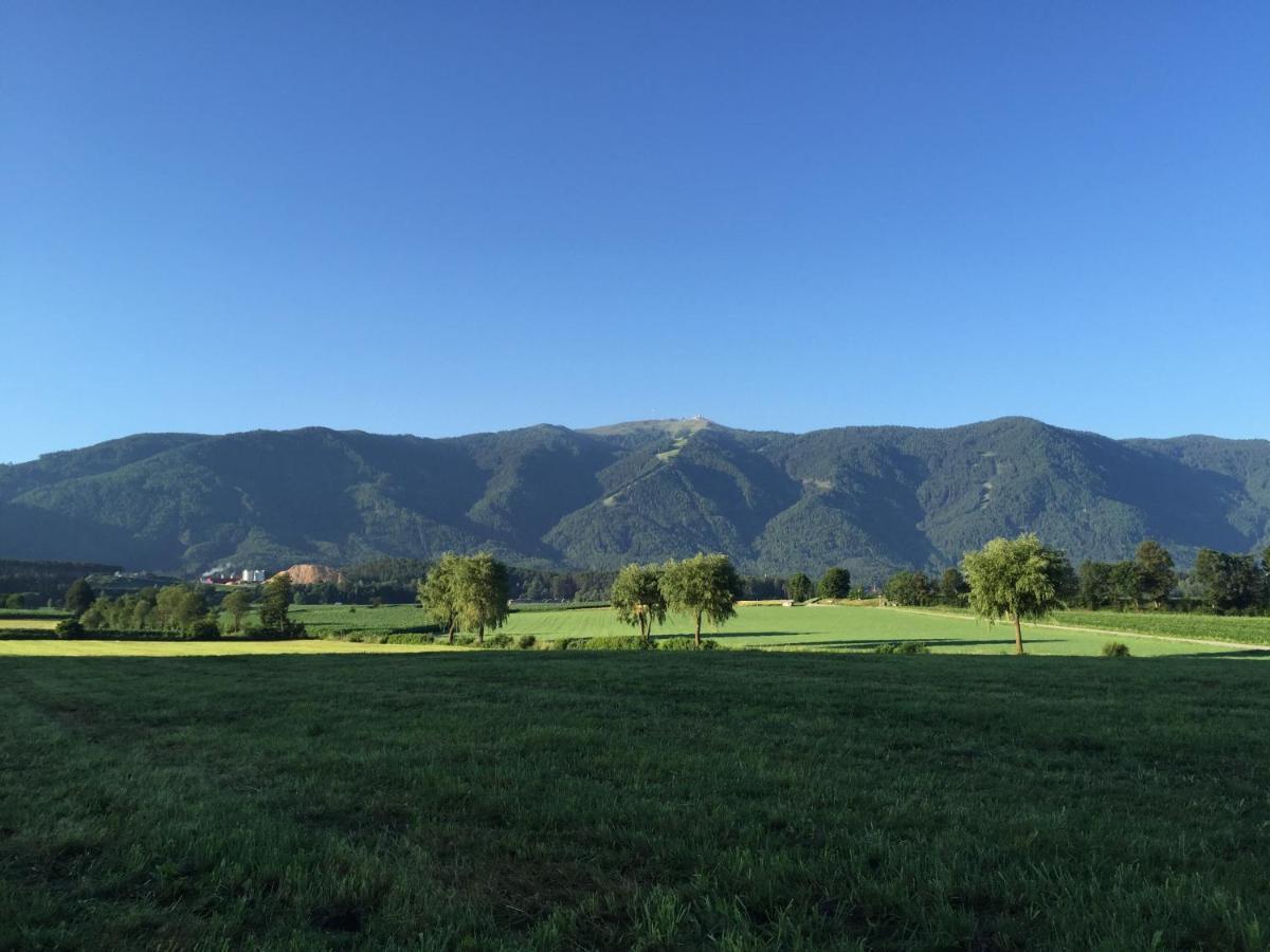 Schoenhuberhof - Panoramalage Daire Brunico Dış mekan fotoğraf