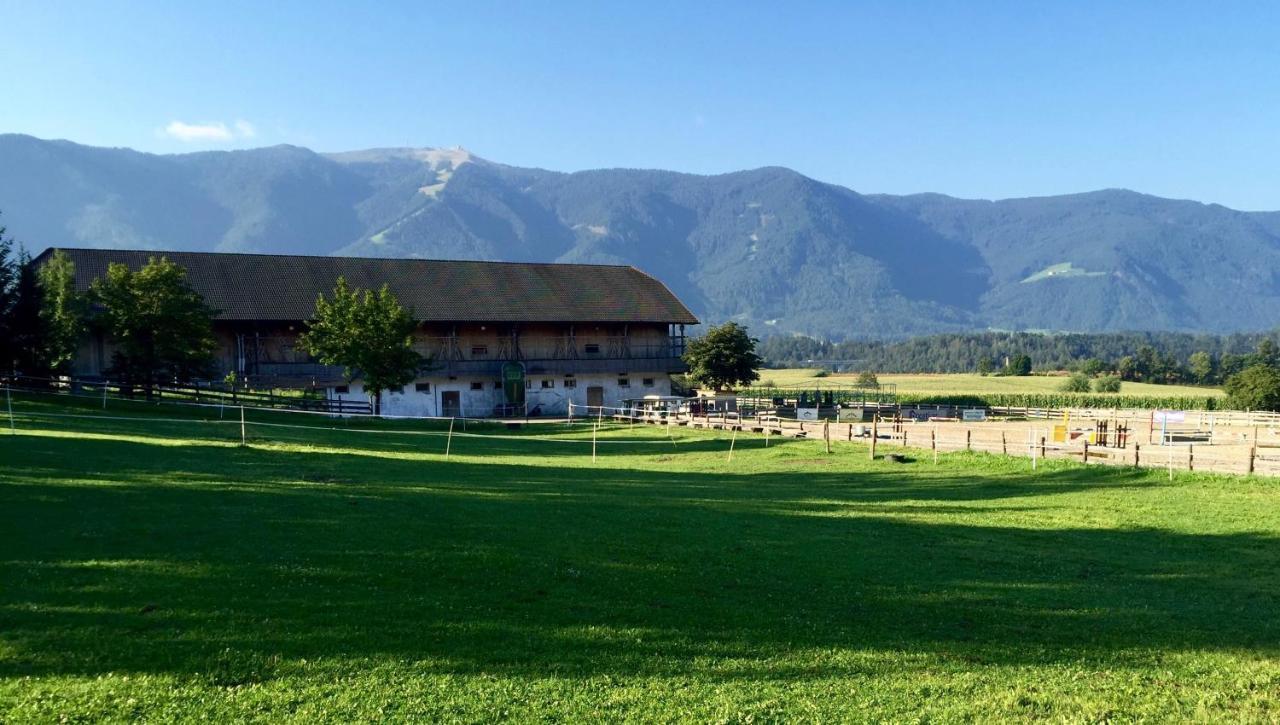 Schoenhuberhof - Panoramalage Daire Brunico Dış mekan fotoğraf